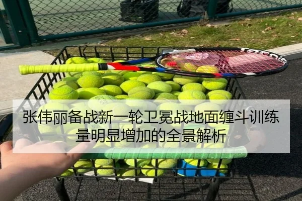 张伟丽备战新一轮卫冕战地面缠斗训练量明显增加的全景解析